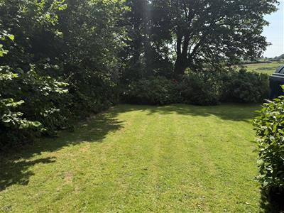 Picture 15